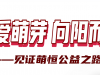 感謝你用愛心 凝聚善的力量 | 國貿“讓愛萌芽 向陽而生”公益活動落下帷幕