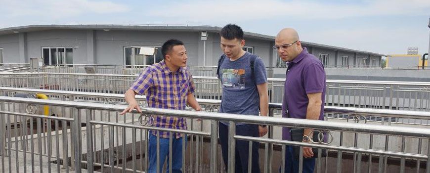 種好梧桐樹，引得鳳凰來