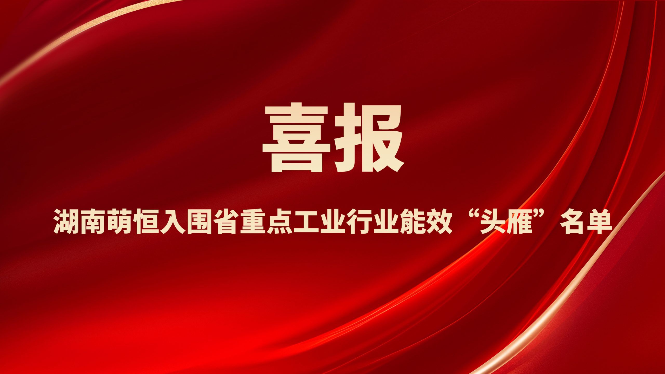 喜報！湖南萌恒入圍省重點工業行業能效“頭雁”名單
